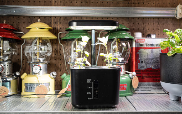 水耕栽培に向いている植物・向かない植物——始める前に知っておきたいこと