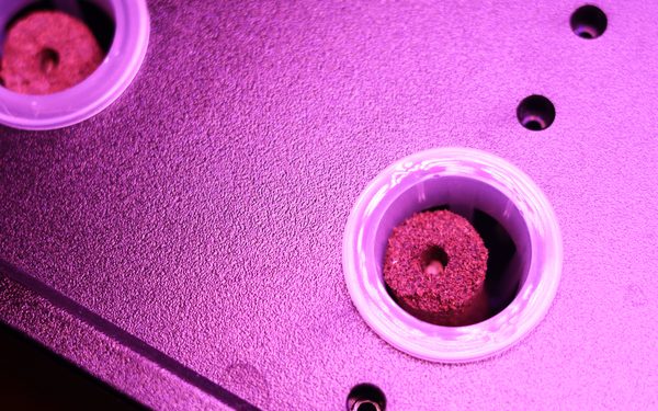 発芽しない・育たないときの原因と対処法——トラブルシューティング
