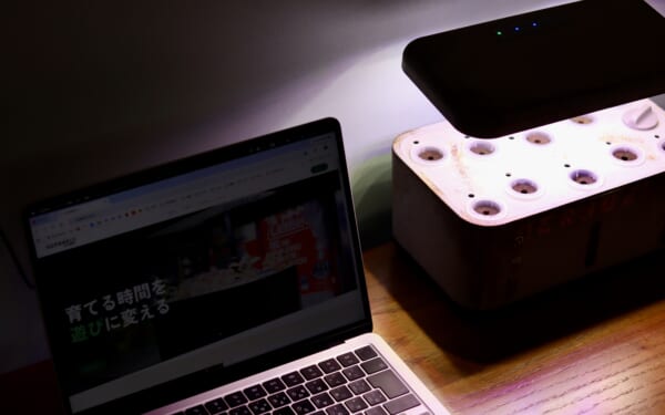グリーンが変える在宅ワーク——デスク環境にNEO-TERRAを置いて気づいたこと